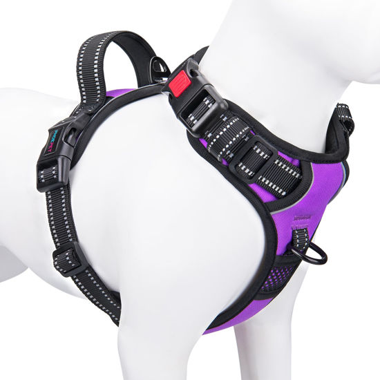 Picture of PHOEPET Reflective Dog Harness Large Breed Adjustable No Pull Vest with Handle 2 Metal Rings 3 Buckles [Easy to Put on & Take off](L, Purple)