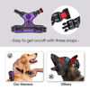 Picture of PHOEPET Reflective Dog Harness Large Breed Adjustable No Pull Vest with Handle 2 Metal Rings 3 Buckles [Easy to Put on & Take off](L, Purple)