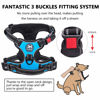 Picture of PoyPet No Pull Dog Harness, No Choke Front Lead Dog Reflective Harness, Adjustable Soft Padded Pet Vest with Easy Control Handle for Small to Large Dogs(Blue,XS)