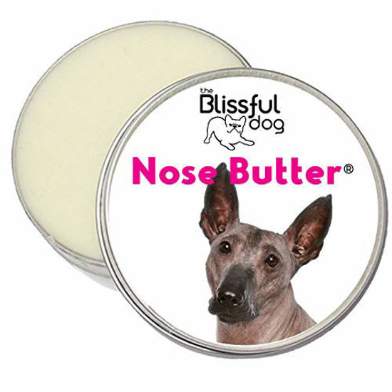 Picture of The Blissful Dog Xoloitzcuintli Nose Butter - Dog Nose Butter, 4 Ounce