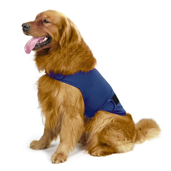 Picture of HCHYEY Dog Anxiety Jacket, Skin-Friendly Dog Calming Shirt - Dog Coat for Thunder, Fireworks and Separation - Keep Pet Calm without Medicine & Training, Anti Anxiety Vest for Dogs (Dark Blue, L)