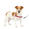 Picture of PetSafe Easy Walk No-Pull Dog Harness - The Ultimate Harness to Help Stop Pulling - Take Control & Teach Better Leash Manners - Helps Prevent Pets Pulling on Walks, Small, Red/Black