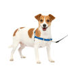 Picture of PetSafe Easy Walk No-Pull Dog Harness - The Ultimate Harness to Help Stop Pulling - Take Control & Teach Better Leash Manners - Helps Prevent Pets Pulling on Walks, Small, Royal Blue/Navy Blue