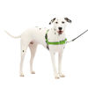 Picture of PetSafe Easy Walk No-Pull Dog Harness - The Ultimate Harness to Help Stop Pulling - Take Control & Teach Better Leash Manners - Helps Prevent Pets Pulling on Walks, Medium/Large, Apple Green/Gray