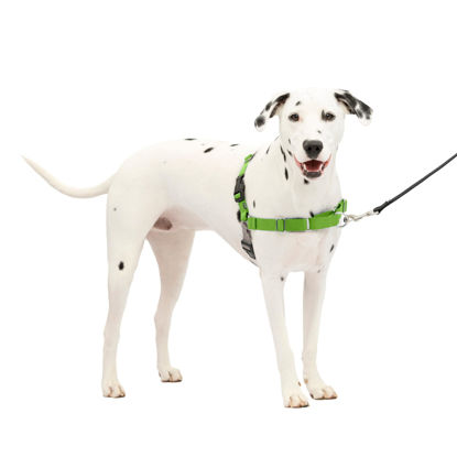 Picture of PetSafe Easy Walk No-Pull Dog Harness - The Ultimate Harness to Help Stop Pulling - Take Control & Teach Better Leash Manners - Helps Prevent Pets Pulling on Walks, Medium/Large, Apple Green/Gray