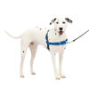 Picture of PetSafe Easy Walk No-Pull Dog Harness - The Ultimate Harness to Help Stop Pulling - Take Control & Teach Better Leash Manners - Helps Prevent Pets Pulling on Walks, Medium/Large, Royal Blue/Navy Blue