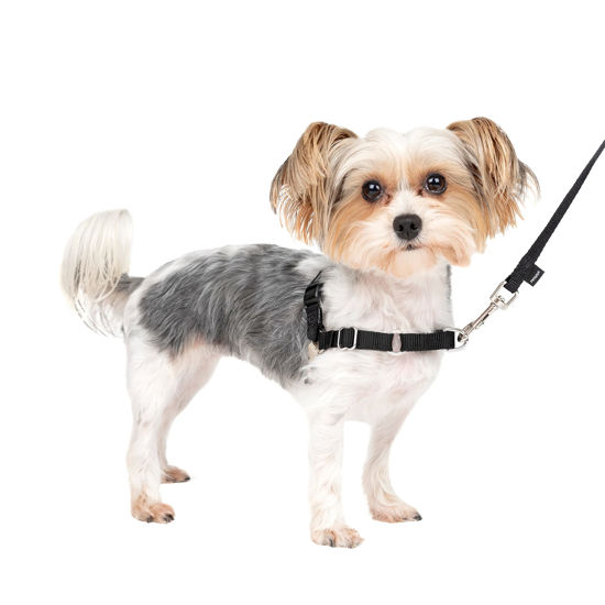 Picture of PetSafe Easy Walk No-Pull Dog Harness - The Ultimate Harness to Help Stop Pulling - Take Control & Teach Better Leash Manners - Helps Prevent Pets Pulling on Walks, Petite/Small, Black/Silver