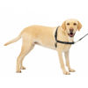 Picture of PetSafe Easy Walk No-Pull Dog Harness - The Ultimate Harness to Help Stop Pulling - Take Control & Teach Better Leash Manners - Helps Prevent Pets Pulling on Walks, Large, Black/Silver