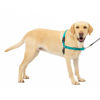 Picture of PetSafe Easy Walk No-Pull Dog Harness - The Ultimate Harness to Help Stop Pulling - Take Control & Teach Better Leash Manners - Helps Prevent Pets Pulling on Walks - Large, Teal