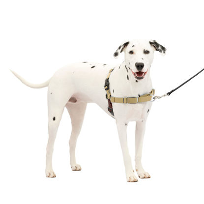 Picture of PetSafe Easy Walk Dog Harness - No Pull Dog Harness - Medium/Large, Fawn