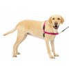 Picture of PetSafe Easy Walk Dog Harness - No Pull Dog Harness - Large, Raspberry