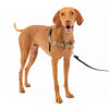 Picture of PetSafe Easy Walk No-Pull Dog Harness - The Ultimate Harness to Help Stop Pulling - Take Control & Teach Better Leash Manners - Helps Prevent Pets Pulling on Walks, Medium, Fawn/Brown