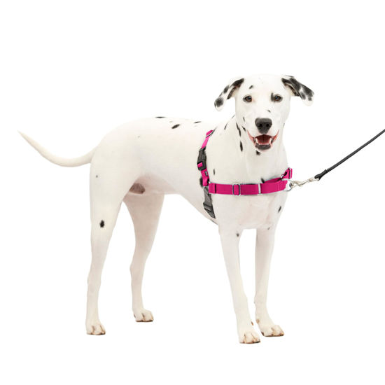 Picture of PetSafe Easy Walk Dog Harness - No Pull Dog Harness - Medium/Large, Raspberry