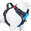 Picture of PHOEPET No Pull Dog Harness Medium Reflective Front Clip Vest with Handle,Adjustable 2 Metal Rings 3 Buckles,[Easy to Put on & Take off](M, Blue)