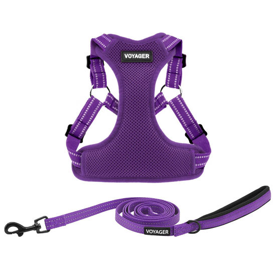 Picture of Best Pet Supplies Voyager Adjustable Dog Harness Leash Set with Reflective Stripes for Walking Heavy-Duty Full Body No Pull Vest with Leash D-Ring, Breathable All-Weather - Harness (Purple), S