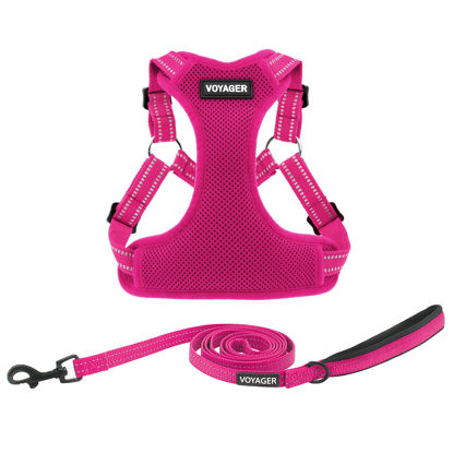 Picture of Best Pet Supplies Voyager Adjustable Dog Harness Leash Set with Reflective Stripes for Walking Heavy-Duty Full Body No Pull Vest with Leash D-Ring, Breathable All-Weather - Harness (Fuchsia), XS