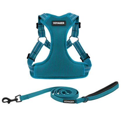 Picture of Best Pet Supplies Voyager Adjustable Dog Harness Leash Set with Reflective Stripes for Walking Heavy-Duty Full Body No Pull Vest with Leash D-Ring, Breathable All-Weather - Harness (Turquoise), S