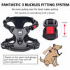 Picture of PoyPet Dog Harness No Pull, Reflective Adjustable No Choke Pet Vest with Front & Back Clips, Soft Padded and Control Training Handle for Large Dogs(Grey,XL)