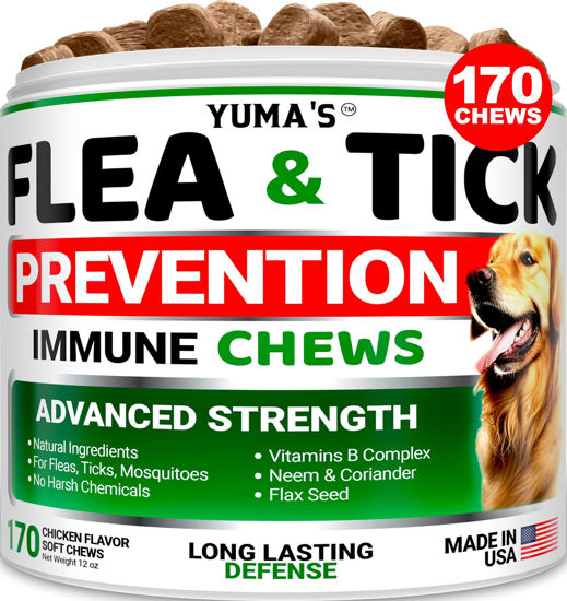 Picture of Flea and Tick Prevention for Dogs Chewables - 170 Treats - Natural Dog Flea and Tick Treatment Chewable - Flea and Tick Chews for Dogs - Soft Oral Flea Pills for Dogs - All Breeds & Ages - Made in USA