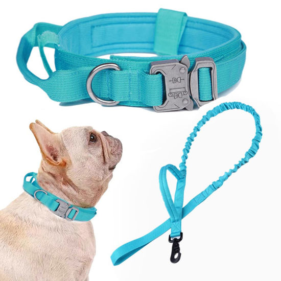 Picture of Tactical Dog Collar and Leash Set Tactical Dog Collar with Handle Bungee Leash Adjustable Military Training Nylon Collar Dog Training Collar Leash Set with Control Handleand Metal Buckle（Blue S