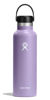 Picture of Hydro Flask 21 Oz Standard Mouth Flex Cap Moonshadow