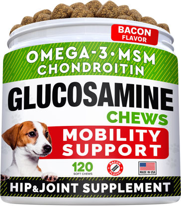 Picture of STRELLALAB Glucosamine Treats for Dogs - Joint Supplement w/Omega-3 Fish Oil - Chondroitin, MSM - Advanced Mobility Chews - Joint Pain Relief - Hip & Joint Care - Bacon Flavor - 120 Ct - Made in USA