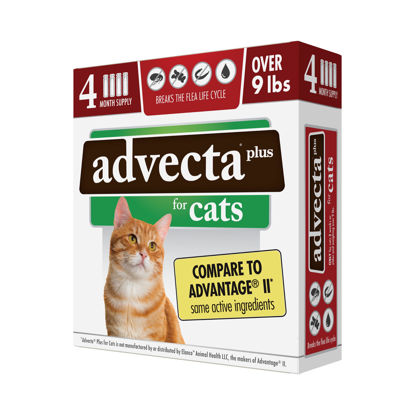 Picture of Advecta Plus Flea Prevention For Cats, Cat and Kitten Treatment & Control, Small and Large, Fast Acting Waterproof Topical Drops, 4 Month Supply