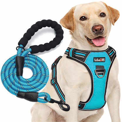 Picture of tobeDRI No Pull Dog Harness Adjustable Reflective Oxford Easy Control Medium Large Dog Harness with A Free Heavy Duty 5ft Dog Leash (S (Neck: 13"-18", Chest: 17.5"-22"), Blue Harness+Leash)