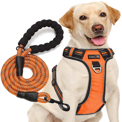 Picture of tobeDRI No Pull Dog Harness Adjustable Reflective Oxford Easy Control Medium Large Dog Harness with A Free Heavy Duty 5ft Dog Leash (S (Chest: 17.5"-21"), Orange Harness+Leash)