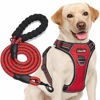 Picture of tobeDRI No Pull Dog Harness Adjustable Reflective Oxford Easy Control Medium Large Dog Harness with A Free Heavy Duty 5ft Dog Leash (S (Neck: 13"-18", Chest: 17.5"-22"), Red Harness+Leash)