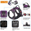 Picture of tobeDRI No Pull Dog Harness Adjustable Reflective Oxford Easy Control Medium Large Dog Harness with A Free Heavy Duty 5ft Dog Leash (S (Neck: 13"-18", Chest: 17.5"-22"), Purple Harness+Leash)