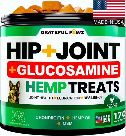 Picture of Hemp Hip and Joint Supplement for Dogs - Glucosamine for Dogs - 170 Dog Joint Pain Relief Treats - Chondroitin, MSM, Hemp Oil - Advanced Dog Joint Supplement Health - Mobility Support Chews