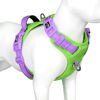 Picture of PHOEPET No Pull Dog Harness, Unique Colors Reflective Adjustable Dog Vest, with Soft Training Handle Metal Clips for Small Medium Large Dogs (Green Base & Purple Straps,S)