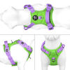 Picture of PHOEPET No Pull Dog Harness, Unique Colors Reflective Adjustable Dog Vest, with Soft Training Handle Metal Clips for Small Medium Large Dogs (Green Base & Purple Straps,S)