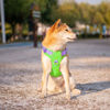 Picture of PHOEPET No Pull Dog Harness, Unique Colors Reflective Adjustable Dog Vest, with Soft Training Handle Metal Clips for Small Medium Large Dogs (Green Base & Purple Straps,S)