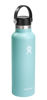 Picture of Hydro Flask Standard Flex Cap Dew 21 Oz