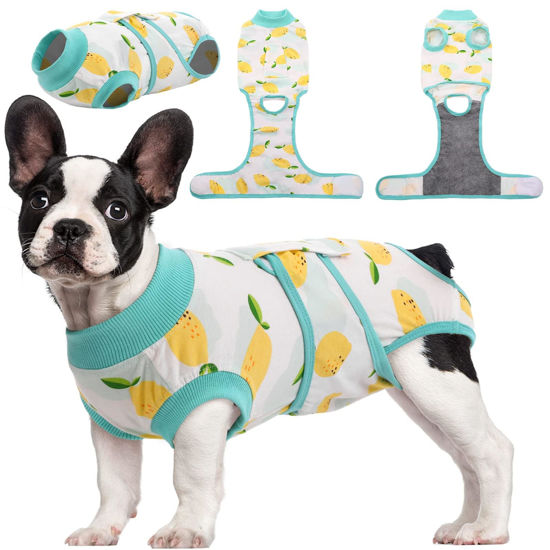 Picture of Kuoser Recovery Suit for Dogs Cats After Surgery, Professional Pet Recovery Shirt Dog Abdominal Wounds Bandages, Substitute E-Collar & Cone,Prevent Licking Dog Onesies Pet Surgery Recovery Suit