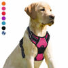 Picture of BARKBAY No Pull Dog Harness Front Clip Heavy Duty Reflective Easy Control Handle for Large Dog Walking(Pink,M)