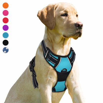 Picture of BARKBAY No Pull Dog Harness Front Clip Heavy Duty Reflective Easy Control Handle for Large Dog Walking(Blue,M)