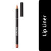 Picture of Rimmel Lasting Finish 8HR Lip Liner, 110 Spice, Shelf Pack of 3