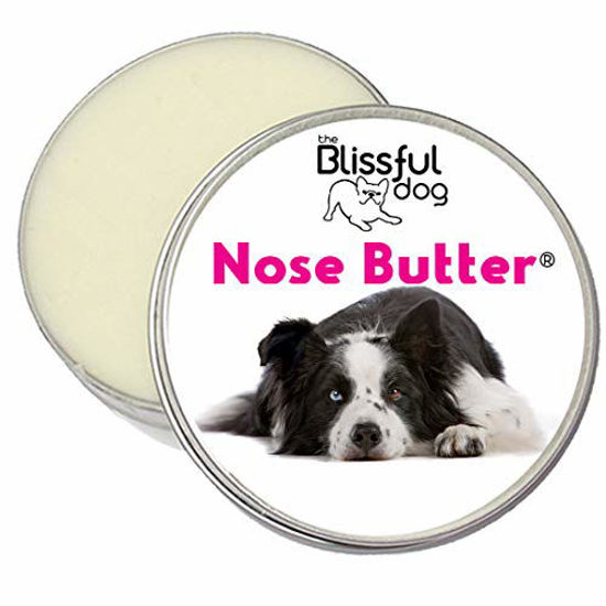 Picture of The Blissful Dog Border Collie Nose Butter - Dog Nose Butter, 8 Ounce