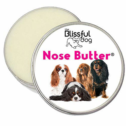 Picture of The Blissful Dog All Cavalier King Charles Spaniel Nose Butter - Dog Nose Butter, 8 Ounce