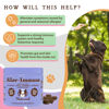 Picture of Natural Dog Company Aller-Immune Chews (90 Pieces), Turkey Flavor, with Canine-Specific Probiotics, Allergy Immune Supplement for Dogs of All Ages, Sizes & Breeds, Boosts Immune System, Antioxidant