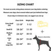 Picture of ShawnCo Essential Dog Harness, No-Pull Pet Vest with 3 Leash Clips, No Choke, Reflective, Adjustable and Padded, for Easy Walking and Training for Small, Medium and Large Dogs (Moonglow, XS)