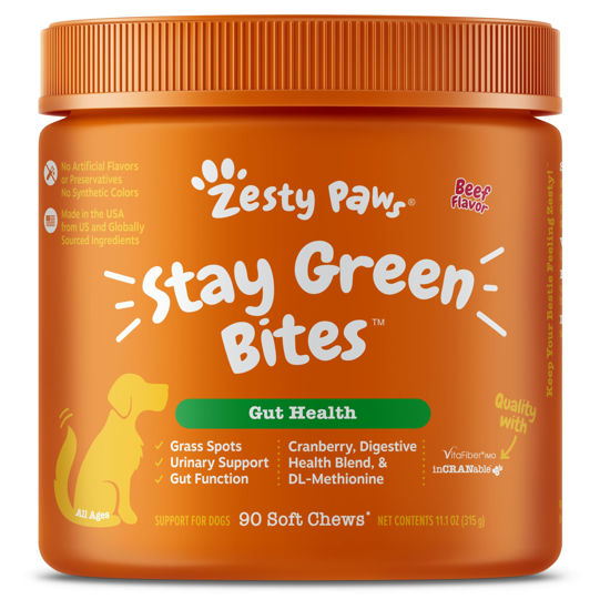 Picture of Zesty Paws Stay Green Bites for Dogs - Grass Burn Soft Chews for Lawn Spots Caused by Dog Urine - with Cranberry for Urinary Tract & Bladder - Beef - 90 Count