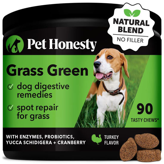 Picture of Pet Honesty Grass Green - Pee Grass Spot Saver Caused by Dog Urine, Gut Health Probiotics, Dog Urine Neutralizer for Lawn, Grass Burn Spot Chews, Cranberry, Apple Cider Vinegar, Dog Rock (Turkey 90ct)