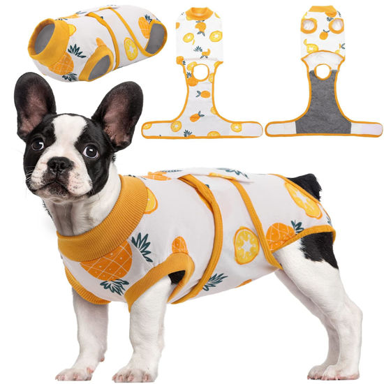 Picture of Kuoser Recovery Suit for Dogs Cats After Surgery, Professional Pet Recovery Shirt Dog Abdominal Wounds Bandages, Substitute E-Collar & Cone,Prevent Licking Dog Onesies Pet Surgery Recovery Suit