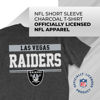 Picture of Team Fan Apparel NFL Adult Team Block Tagless T-Shirt - Cotton Blend - Charcoal - Perfect for Game Day - Comfort and Style (Las Vegas Raiders - Black, Adult XX-Large)