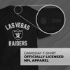 Picture of Team Fan Apparel NFL Adult Gameday T-Shirt - Cotton Blend - Tagless - Semi-Fitted - Unleash Your Team Spirit During Game Day (Las Vegas Raiders - Black, Adult XX-Large)