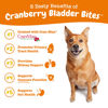 Picture of Zesty Paws Cranberry Bladder Bites for Dogs - Kidney & Urinary Tract Health - Soft Chews with D-Mannose, Vitamin B6 & L-Arginine - Immune & Gut Support - Bacon - 90 Count